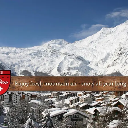 The Dom - The Dom Collection